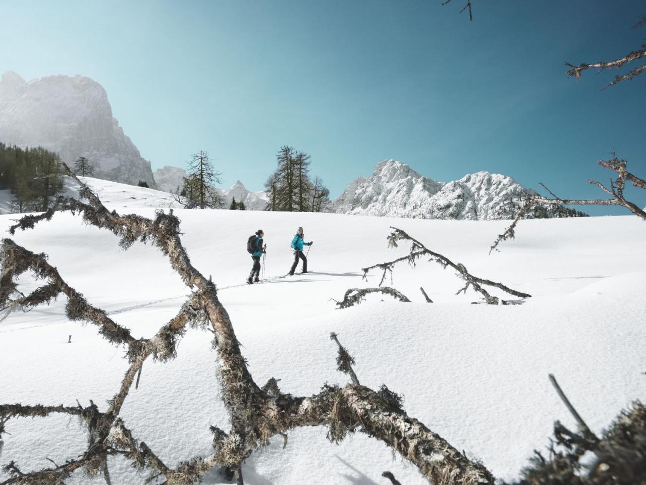 Alpengasthof Pichler Sankt Veit in Defereggen Экстерьер фото
